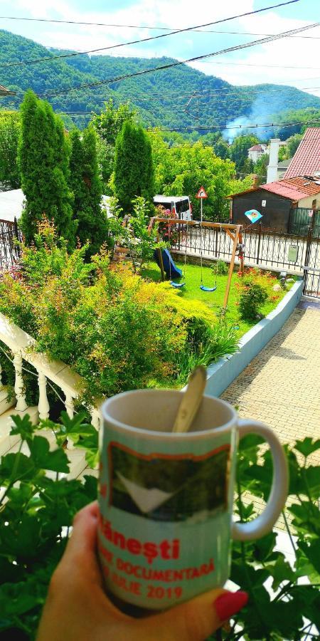 Casa Giulia Ξενοδοχείο Băile Olăneşti Εξωτερικό φωτογραφία
