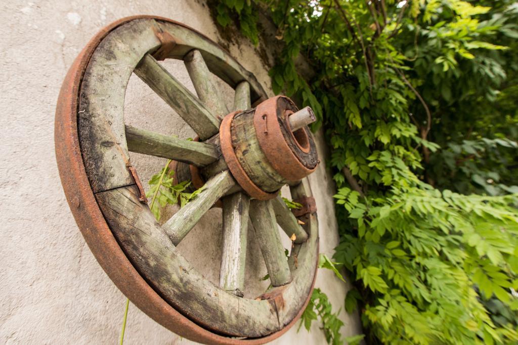 Casa Giulia Ξενοδοχείο Băile Olăneşti Εξωτερικό φωτογραφία